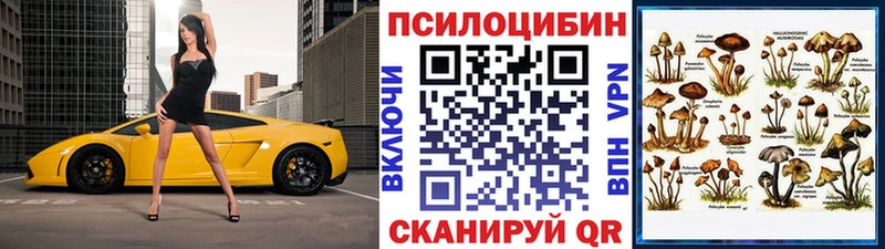 Псилоцибиновые грибы Cubensis  Усть-Джегута 